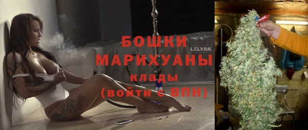 крисы Козельск