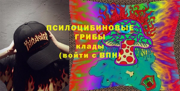 гидра Липки