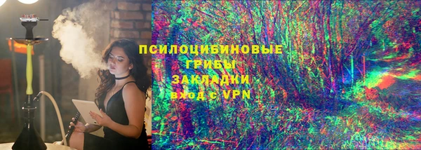 гидра Липки