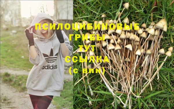 COCAINE Лихославль