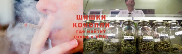 гидра Липки
