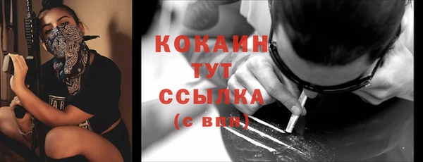 гидра Липки