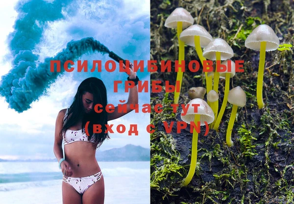 apvp Лиски