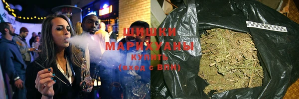 гидра Липки