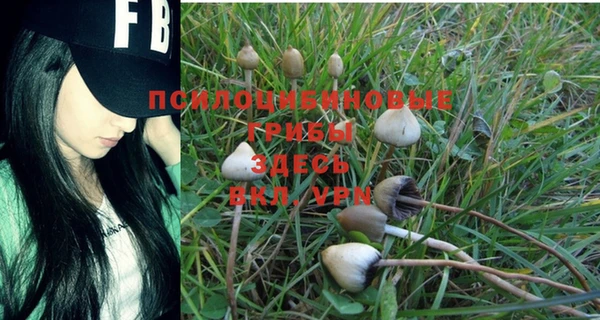 apvp Лиски