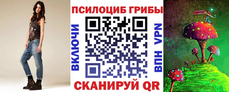как найти наркотики  Почеп  Галлюциногенные грибы Cubensis 